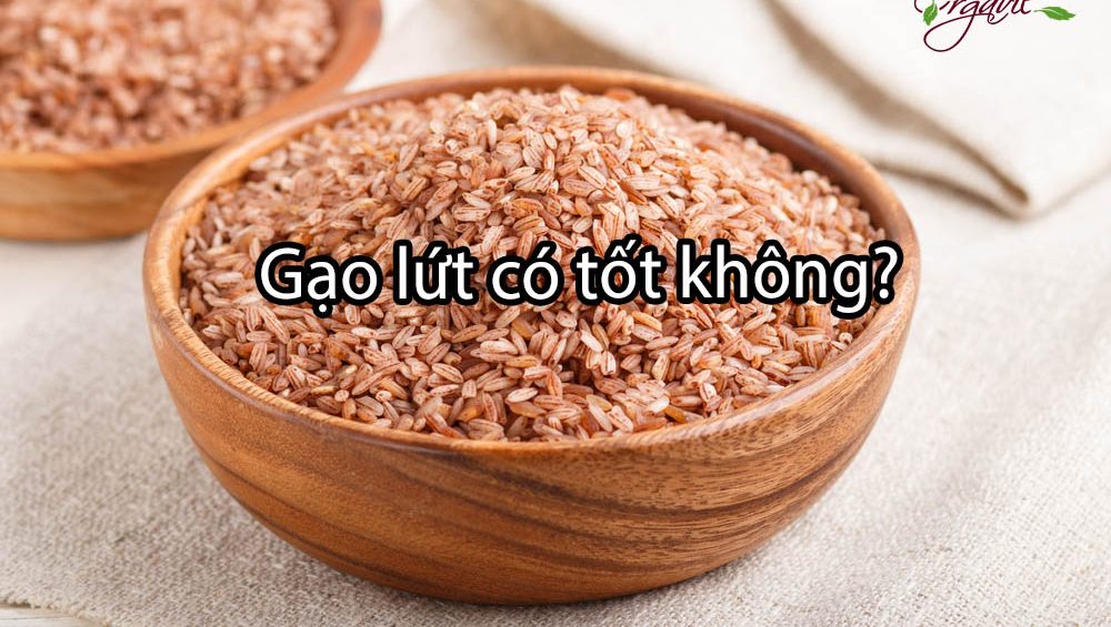 Gao-lut-co-tot-khong