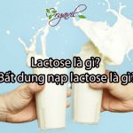 lactose-la-gi-bat-dung-nap-lactose-la-gi