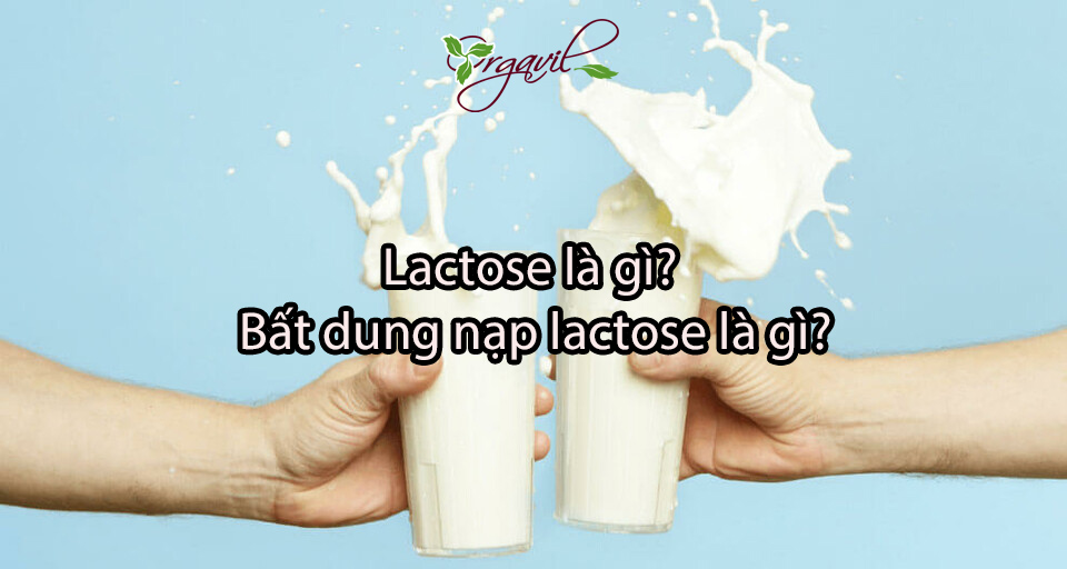 lactose-la-gi-bat-dung-nap-lactose-la-gi
