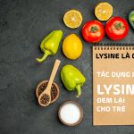 lysine là gì